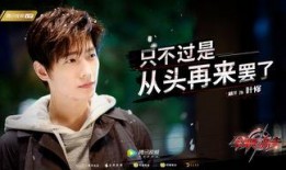 全职高手杨洋爆料视频,独家爆料幕后花絮与拍摄幕后